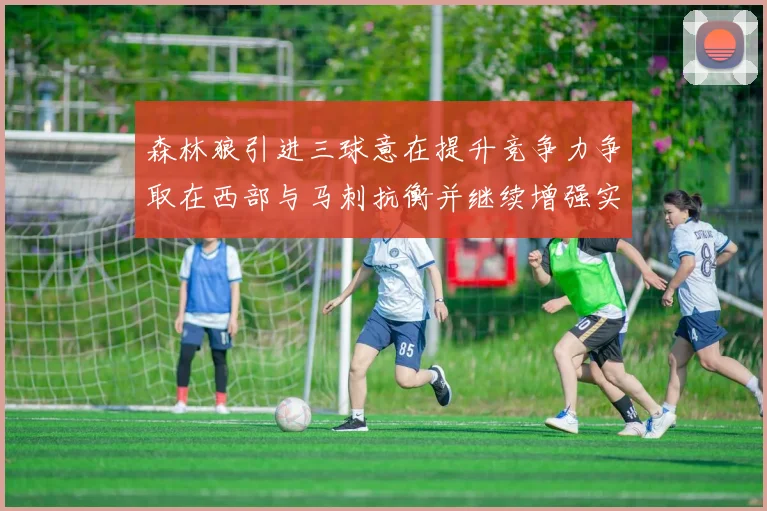 森林狼引进三球意在提升竞争力争取在西部与马刺抗衡并继续增强实力